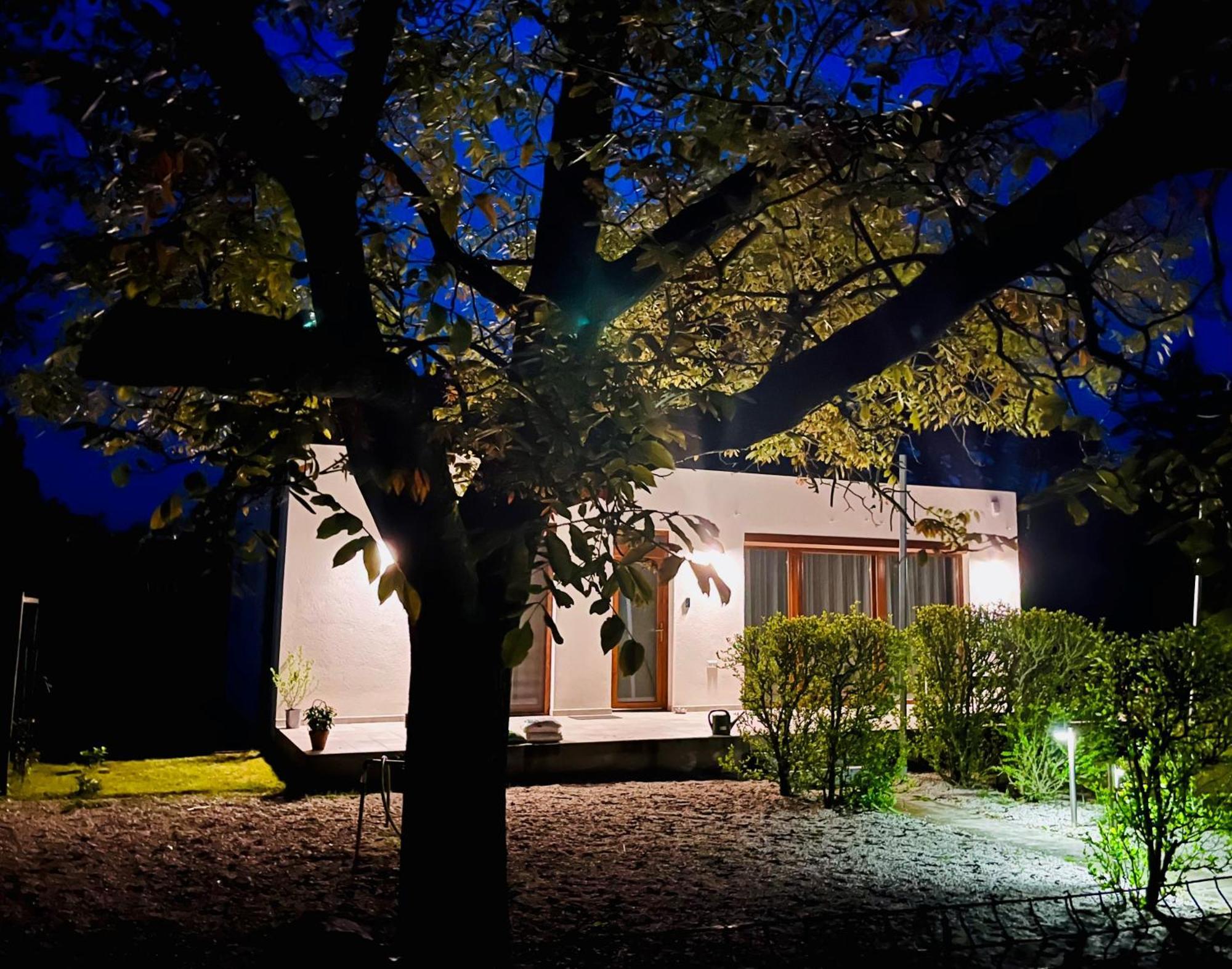 Babvirag Porta Fonyodliget Villa Bagian luar foto